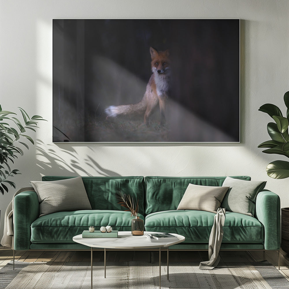 Glances | Canvas