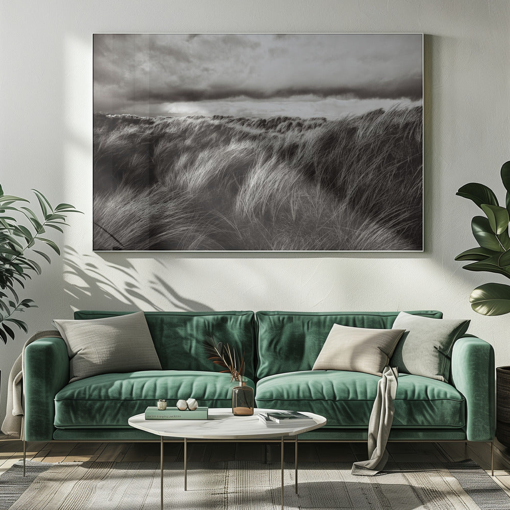 Dunes of grass | Canvas