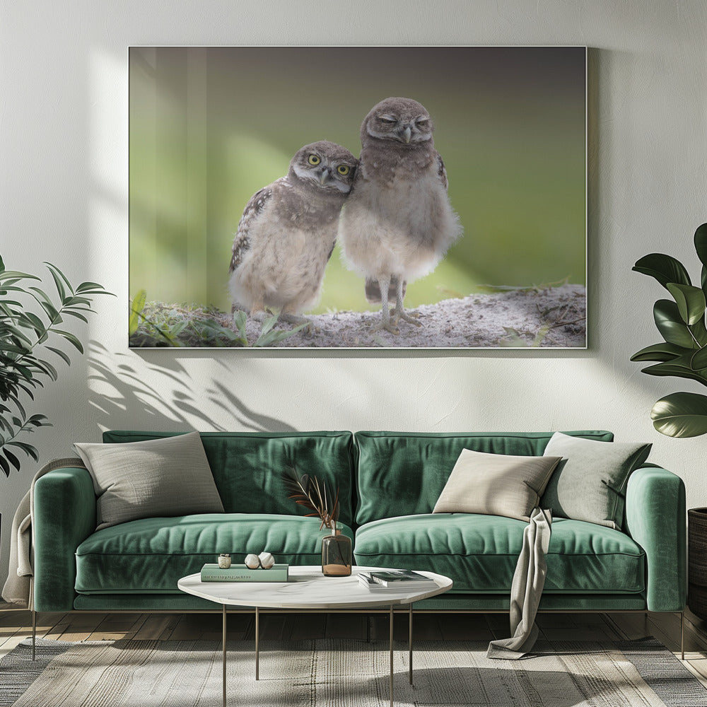 Friends | Canvas
