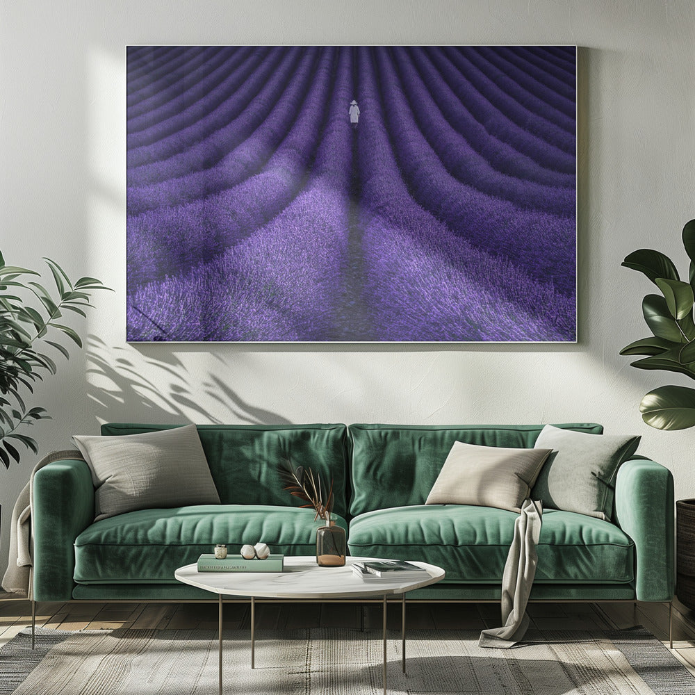 SHE | Canvas