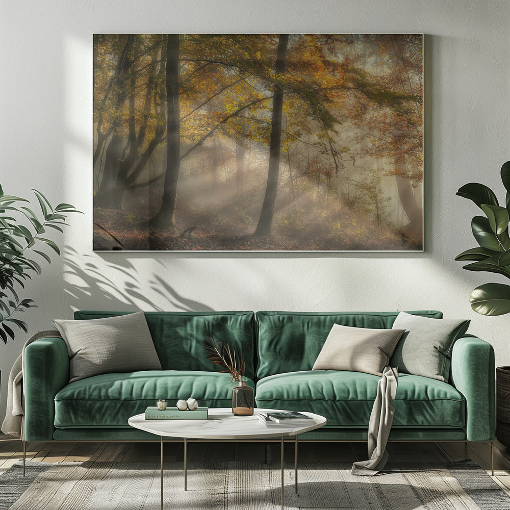 The lights of the forest | Canvas