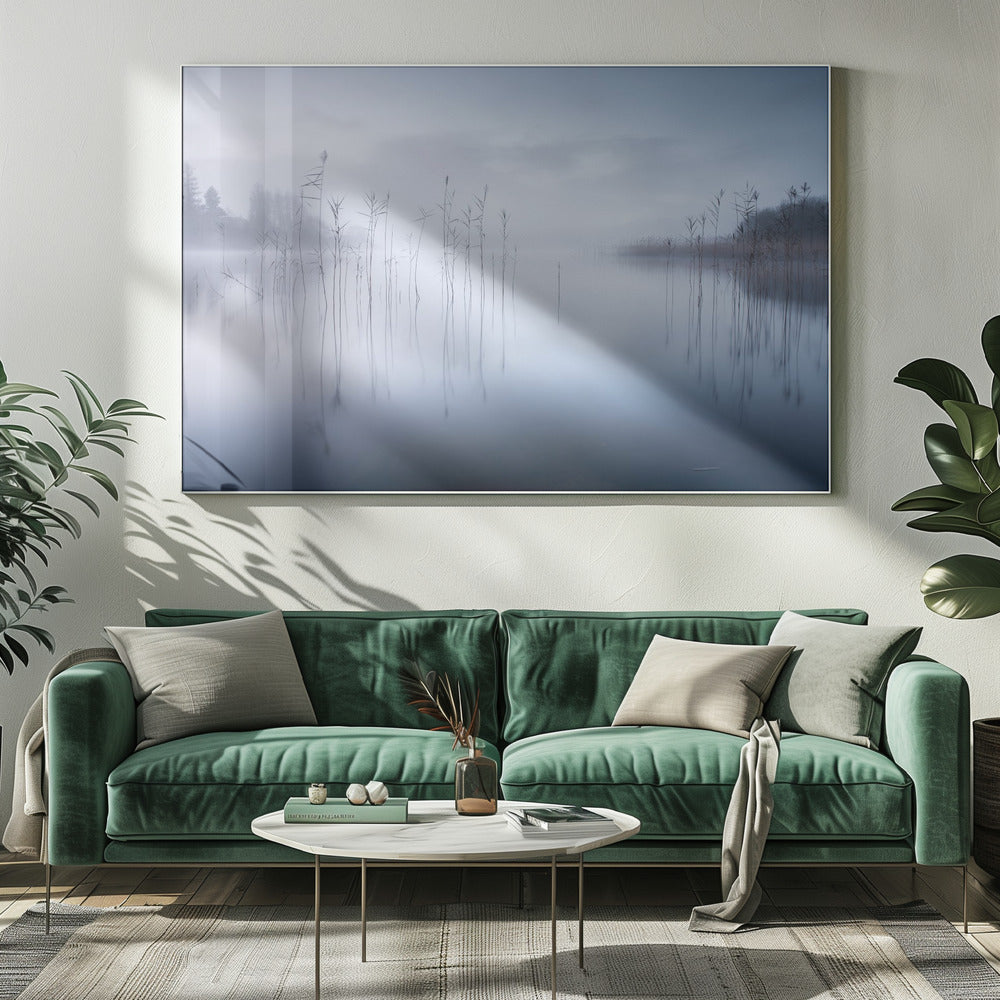 Untitled | Canvas