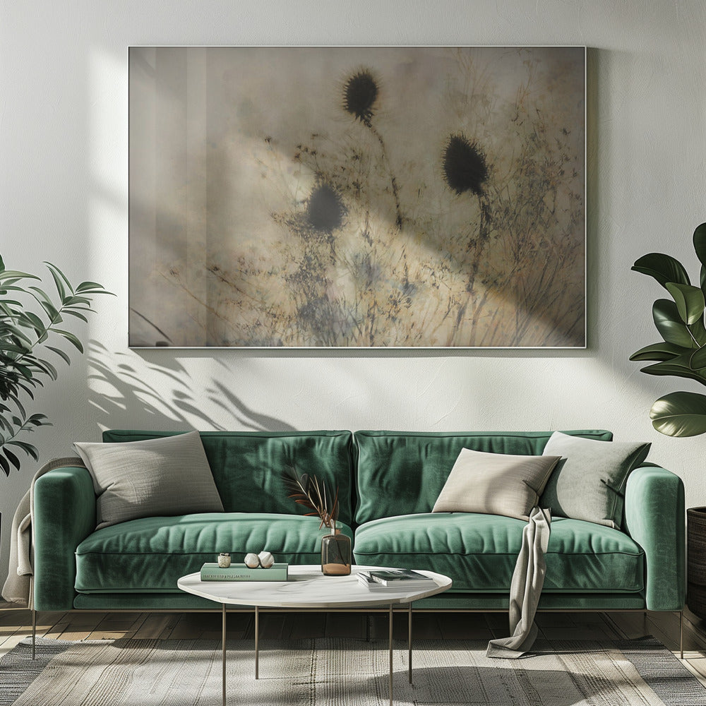 Seed boxes | Canvas