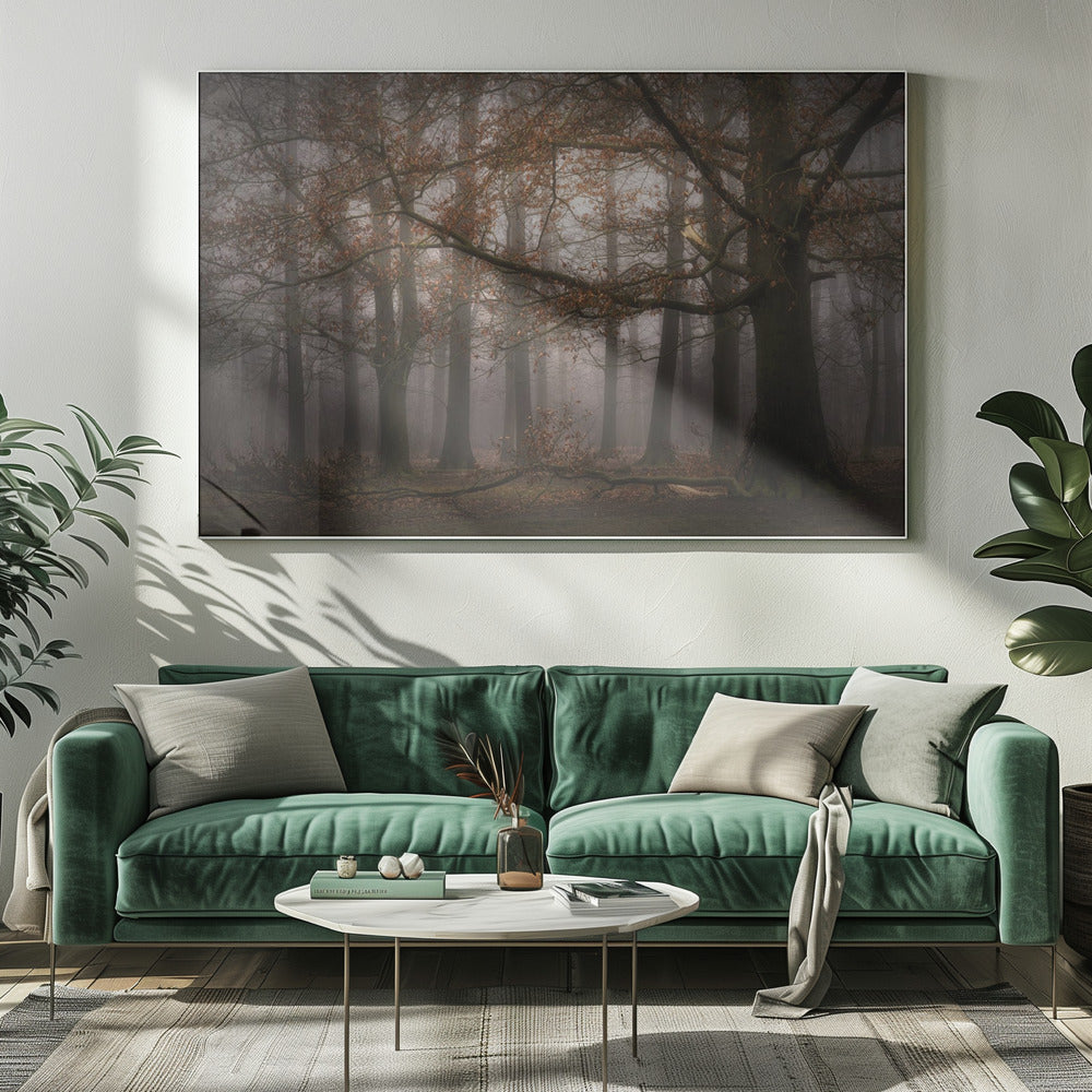 Foggy memory of the past | Canvas