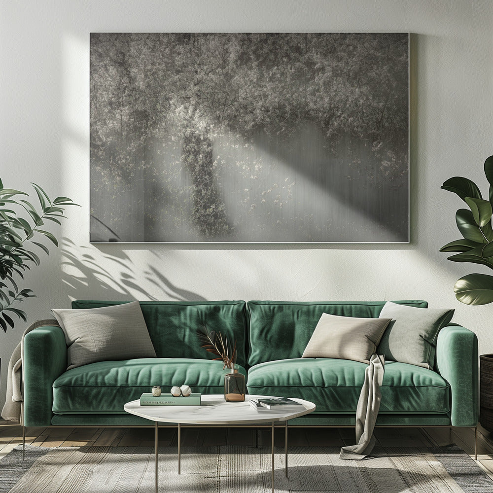 White blossom | Canvas