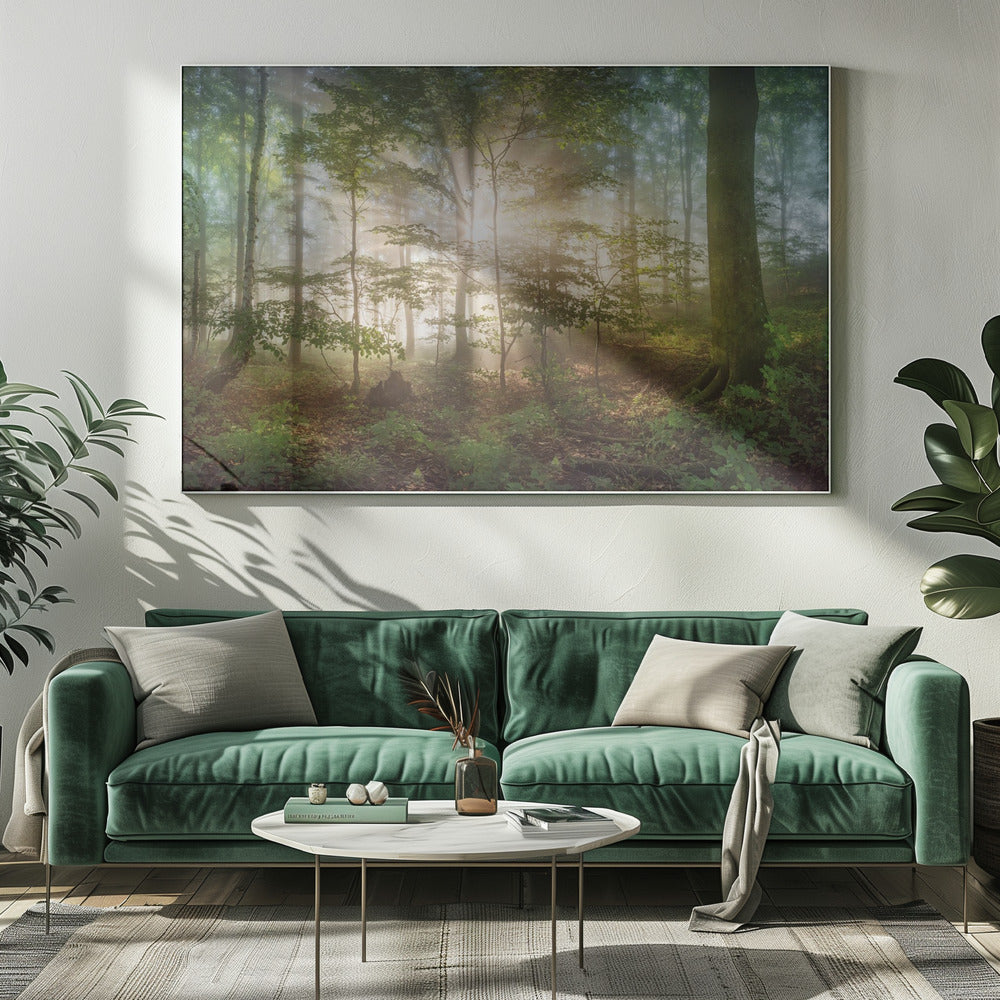 morning sun | Canvas