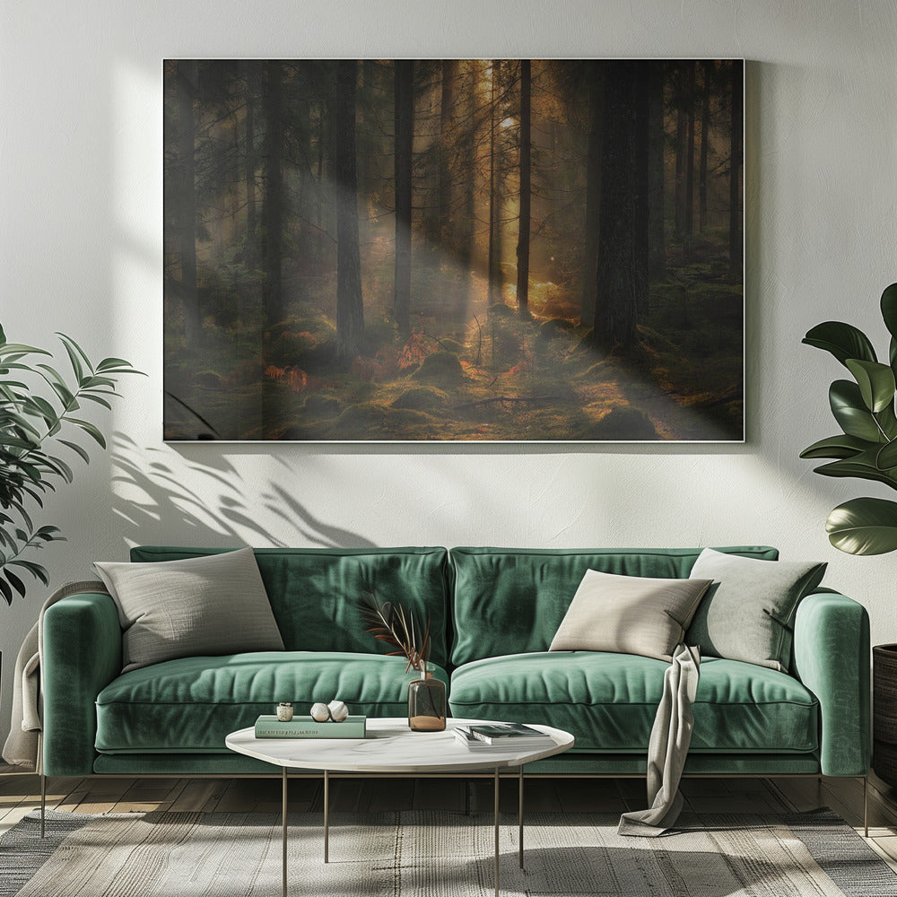 The light in the forest | Canvas
