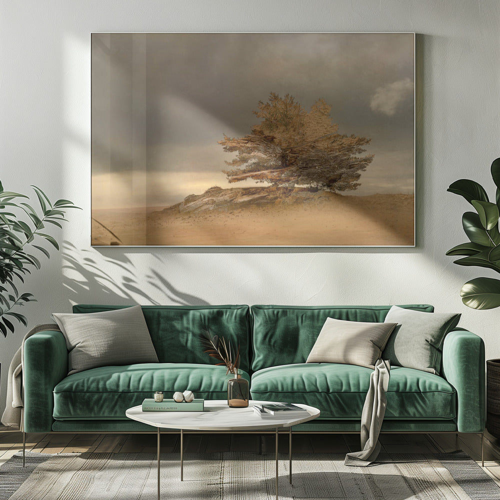 Pine and dunes | Canvas