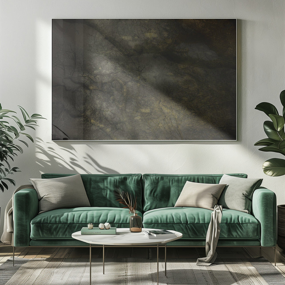 Old forrest | Canvas