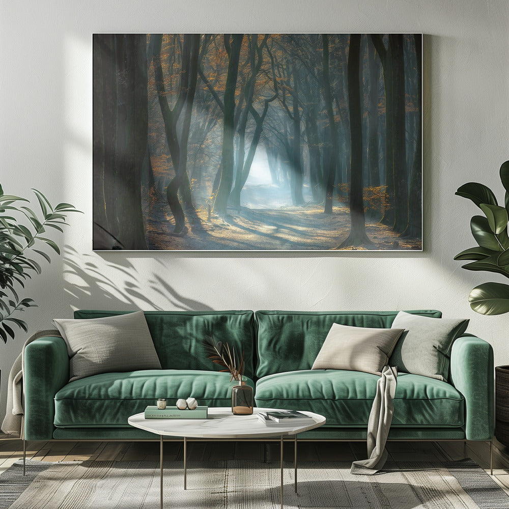 Cold Light | Canvas