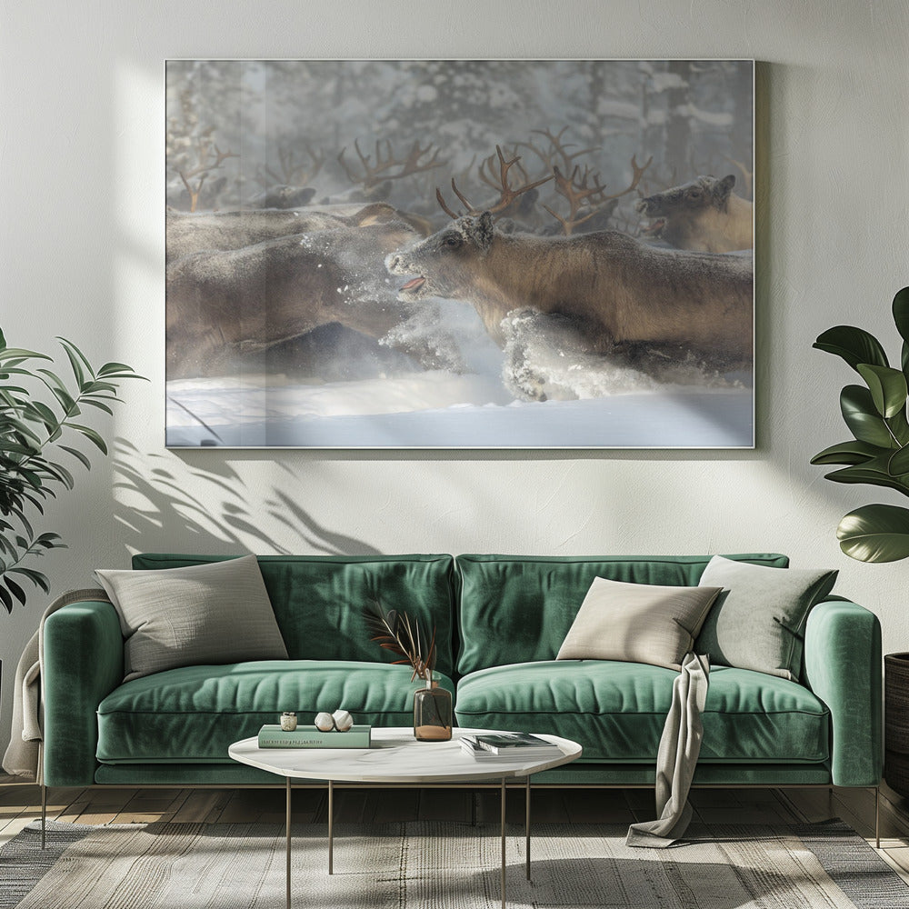 Reindeers III | Canvas