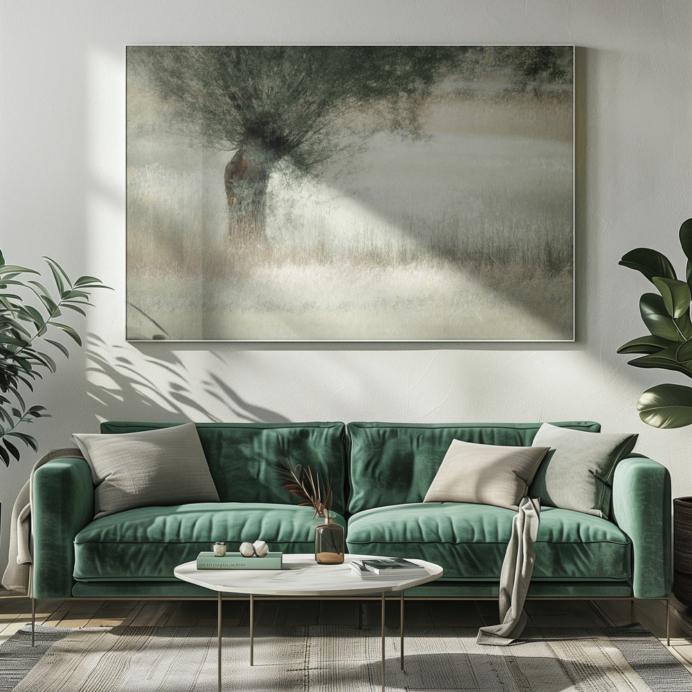 Willow | Canvas
