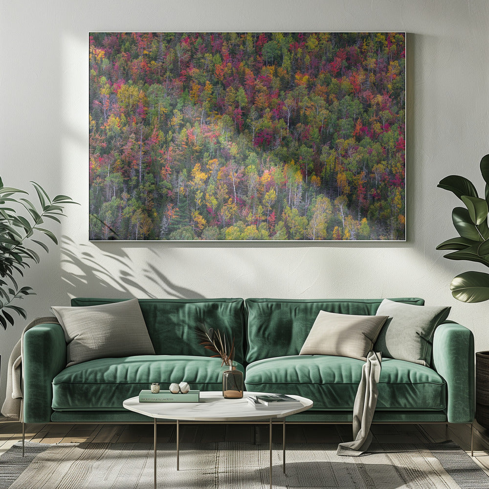 Color palette | Canvas