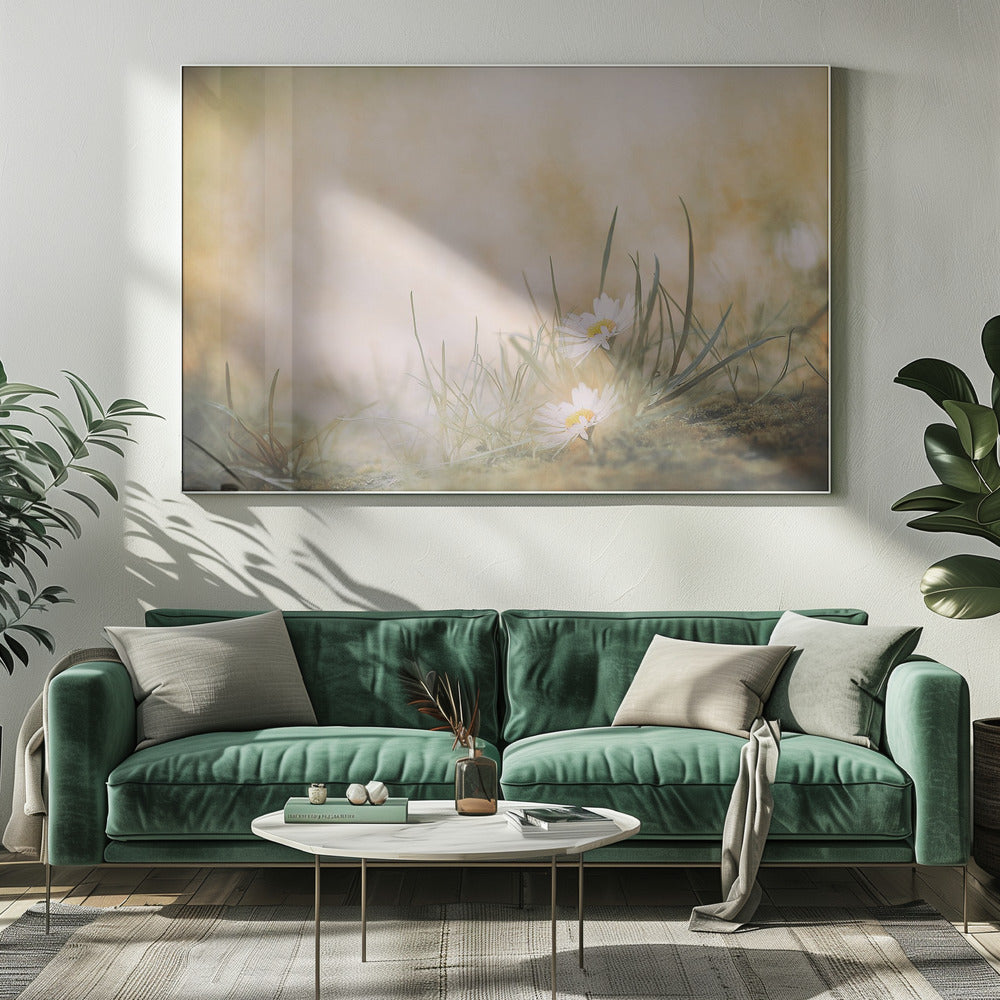 Untitled | Canvas