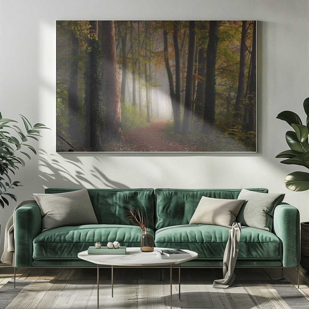 Autumn colorful forest | Canvas