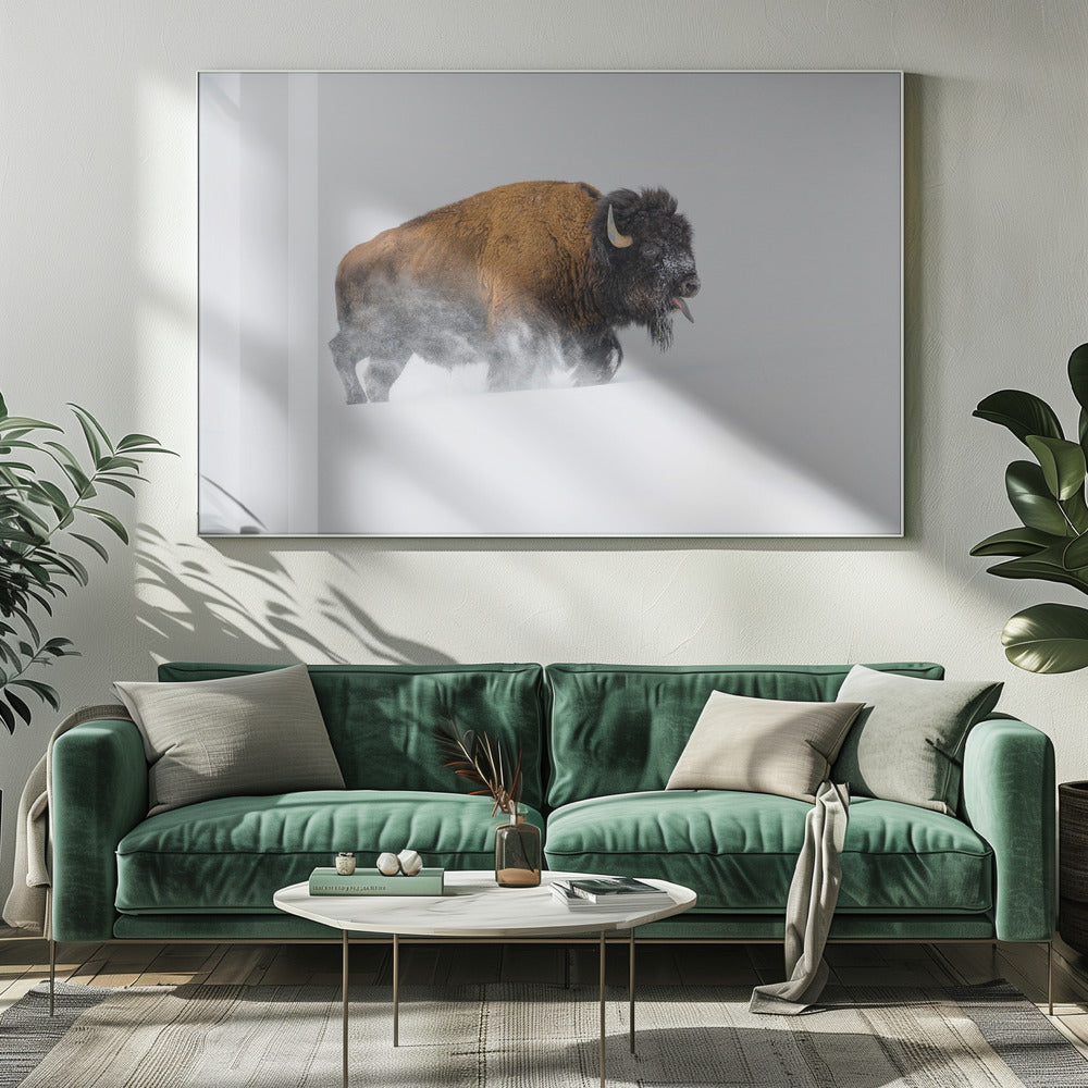 Bison in the Snow | Canvas