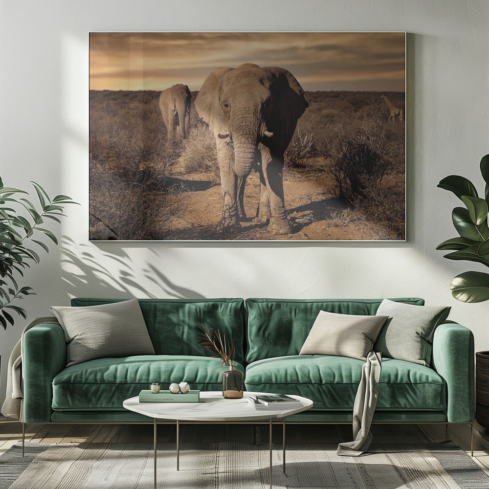Big | Canvas