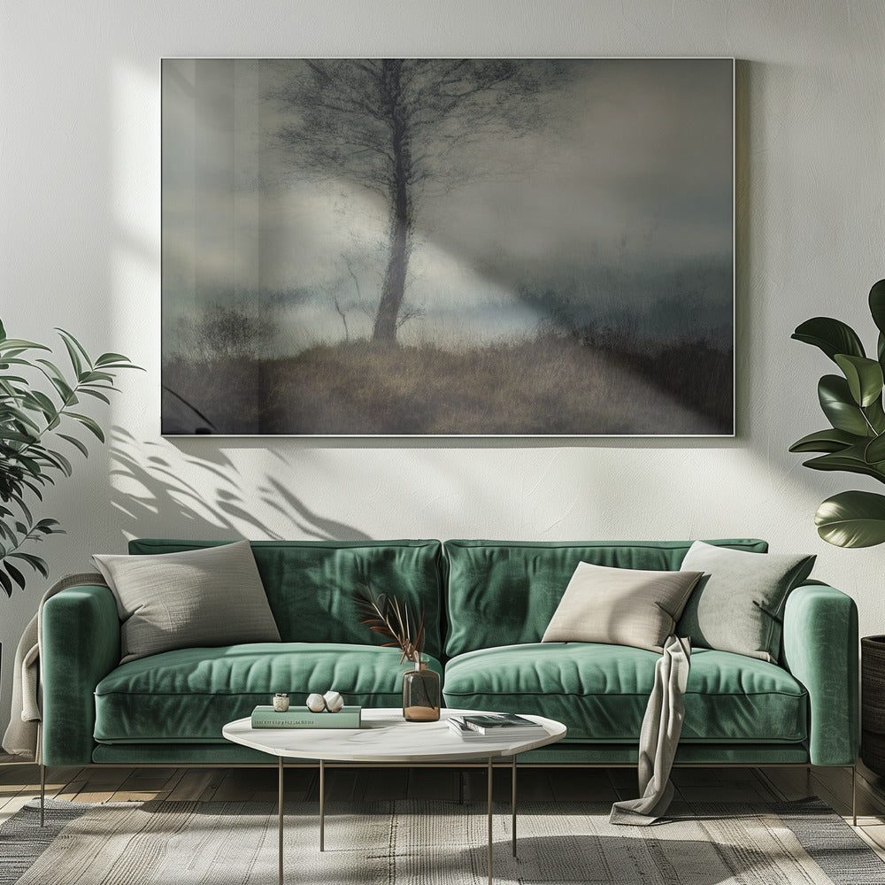 Silent | Canvas
