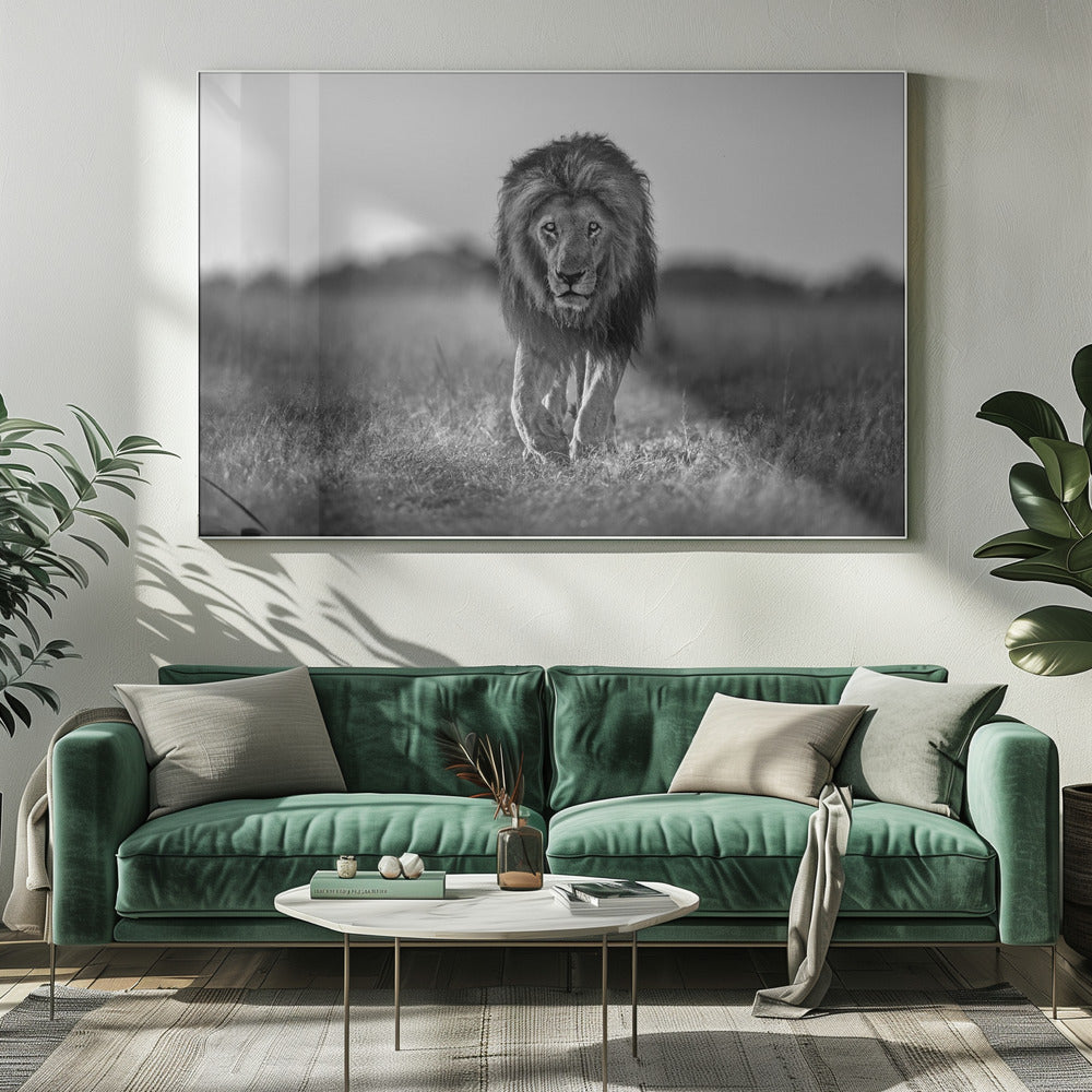 Old boy | Canvas