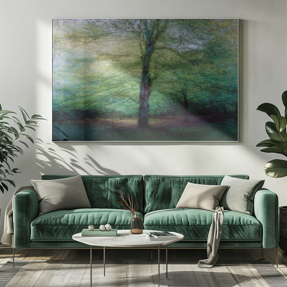 forest | Canvas