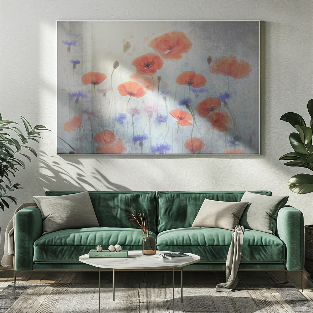 Poppy | Canvas