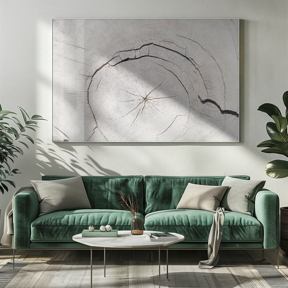 Texture 05 | Canvas