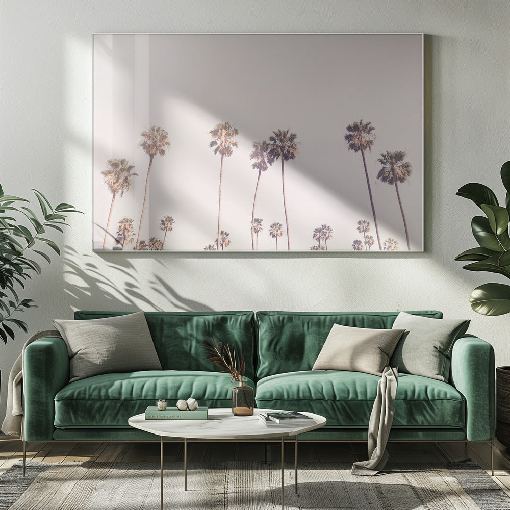 Sunny Cali Palm Trees | Canvas