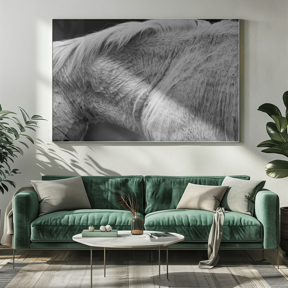 Horse II | Canvas