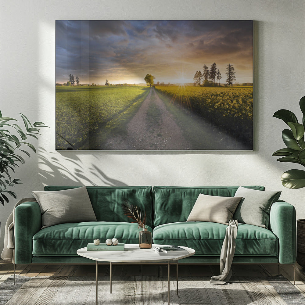 Summer Meadow | Canvas