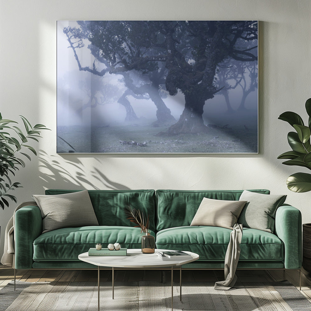 Blue Woods | Canvas