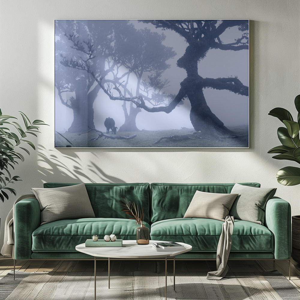 Blue Ent | Canvas