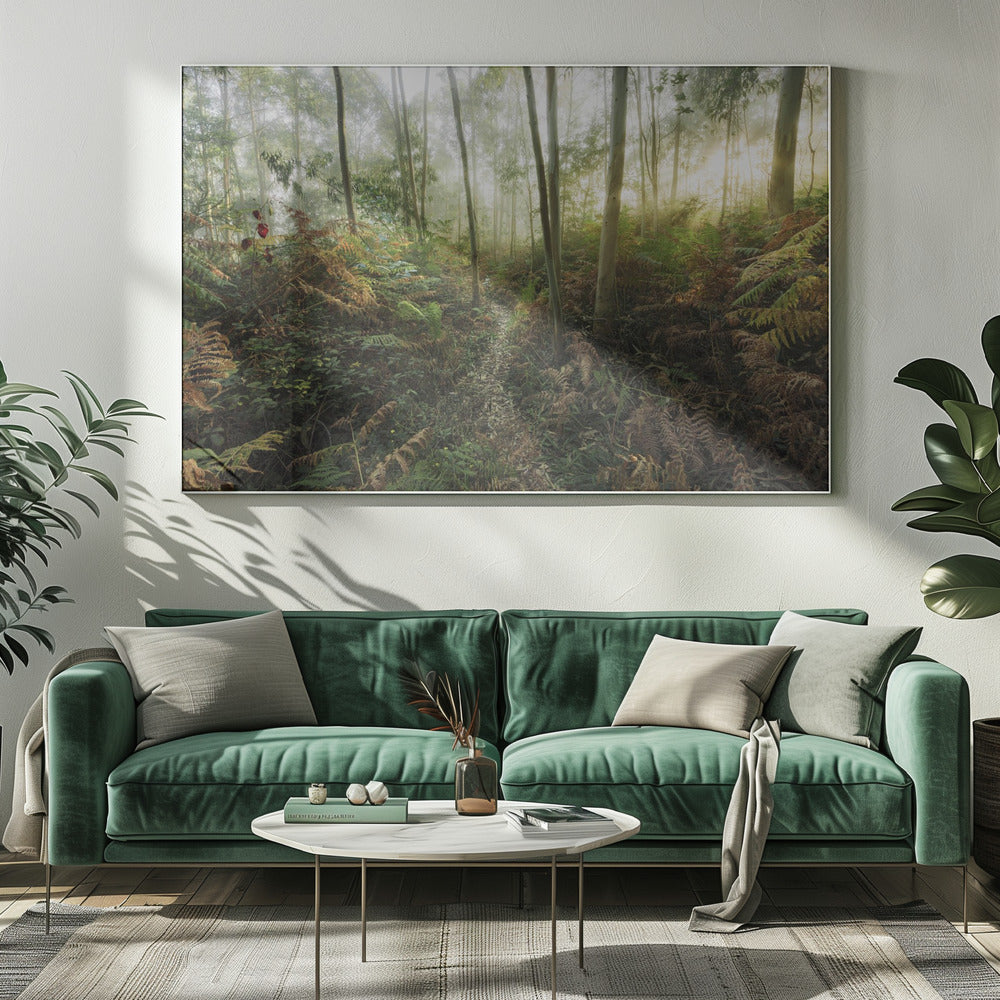 Foggy Woods II | Canvas