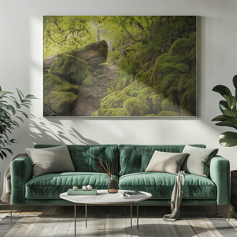Mossy Path | Canvas