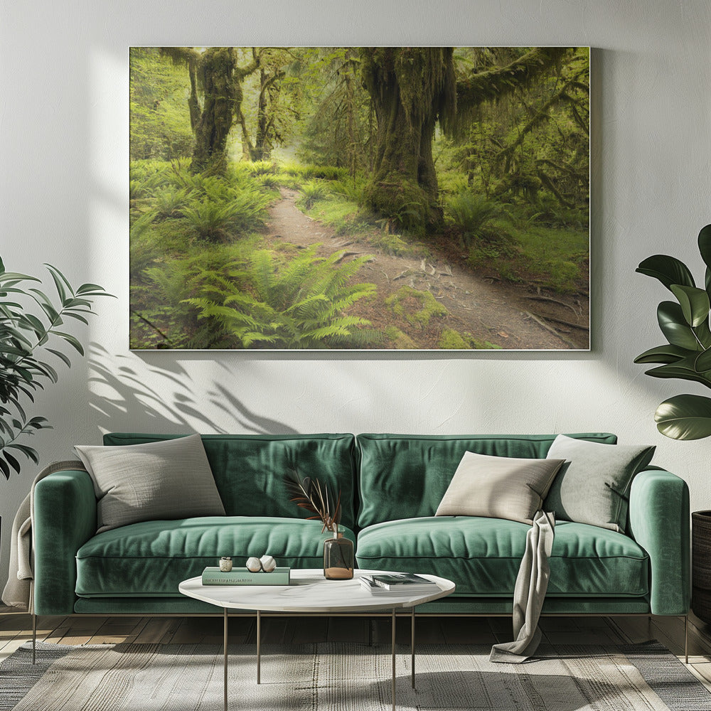 Hoh Rainforest | Canvas