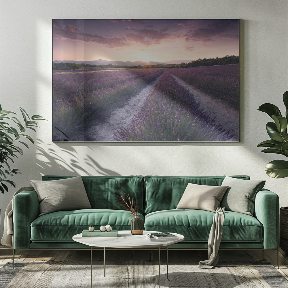 Purple Provence | Canvas
