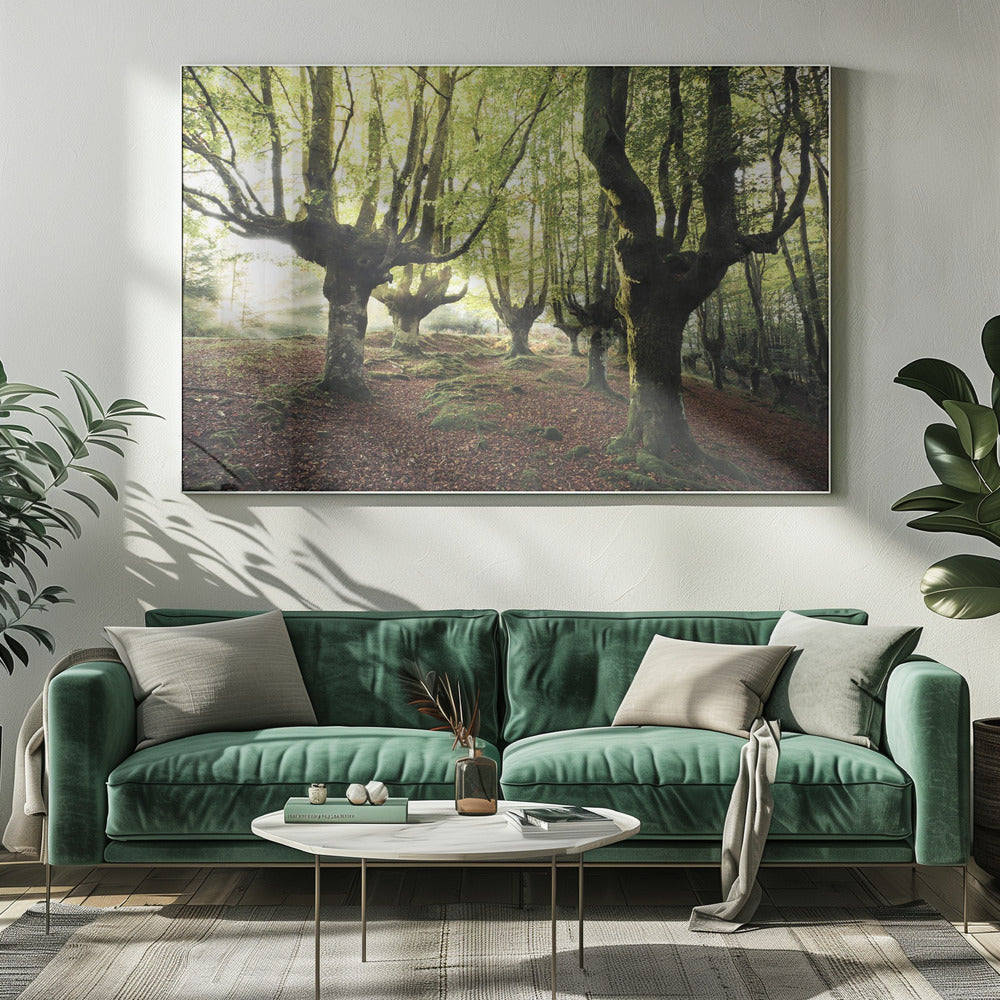 Magic Grove | Canvas