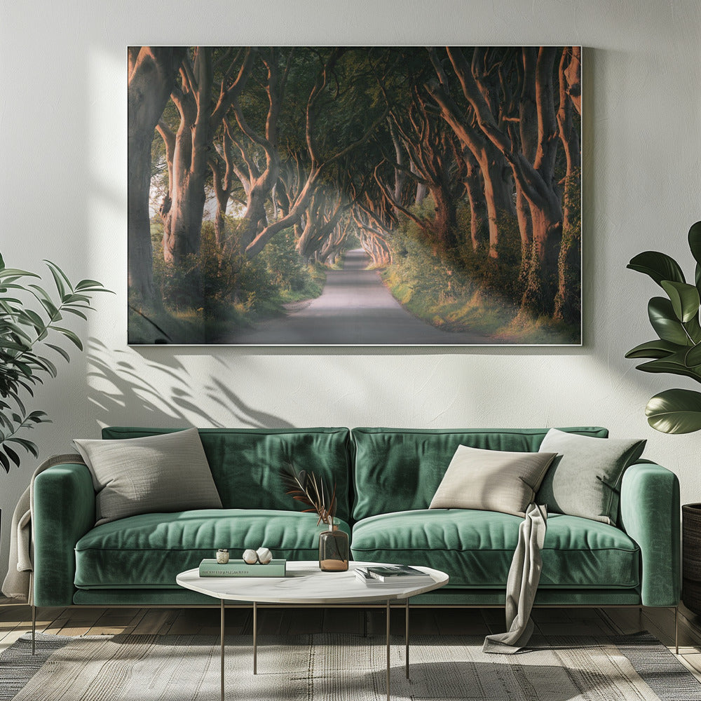 Red Avenue | Canvas