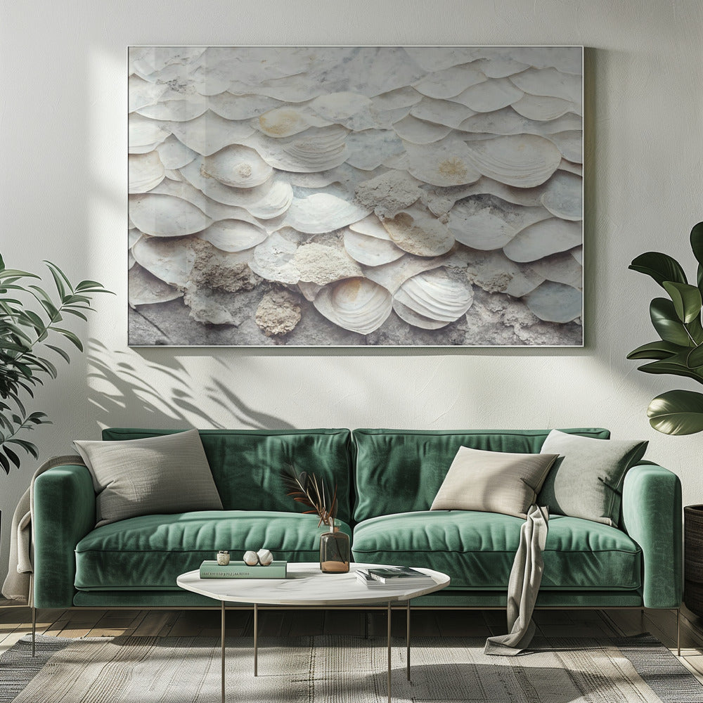 Shell Harmony Wall | Canvas