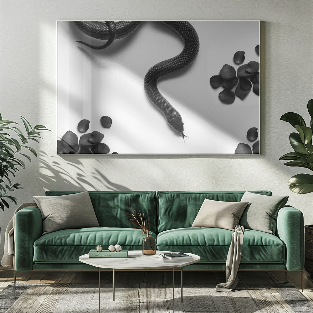 Black Snake Roam | Canvas