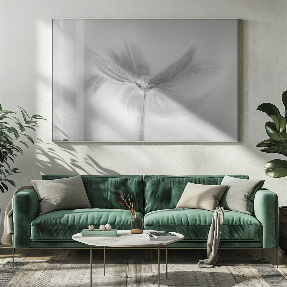 Dancing Cosmos | Canvas