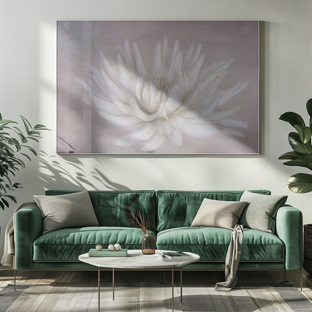 White | Canvas
