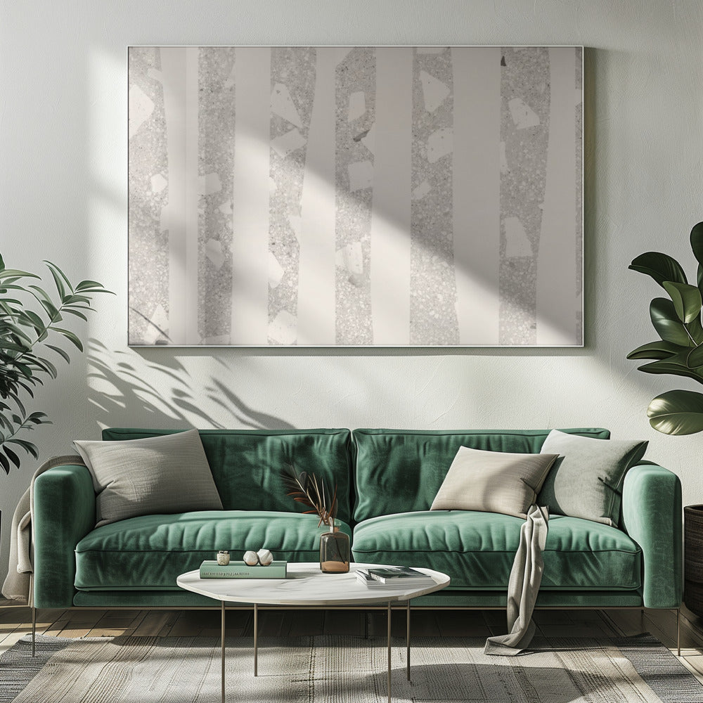 Birch Grove Shadows | Canvas