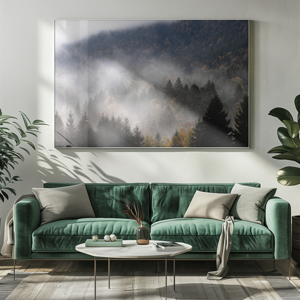 Foggy Woods 9 | Canvas