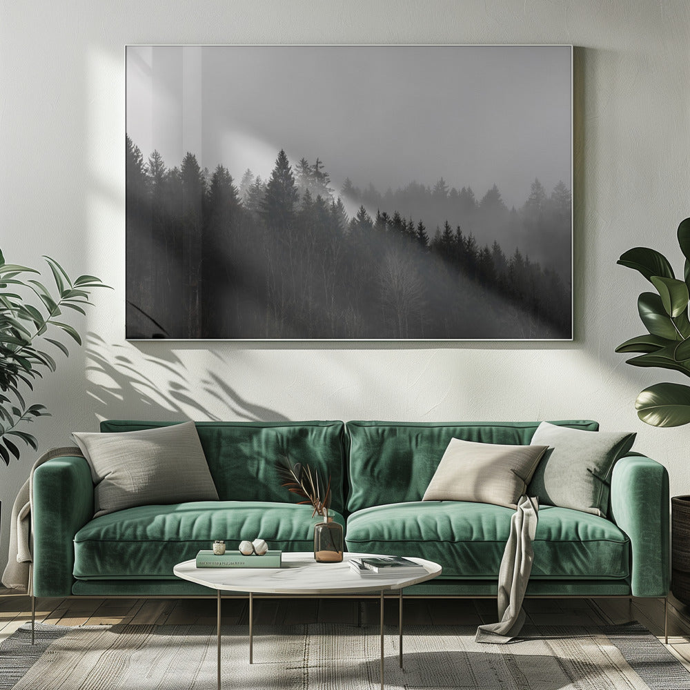 Foggy Woods 7 | Canvas