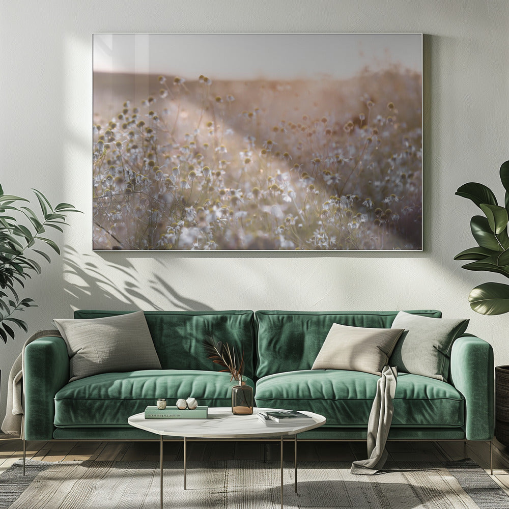 Summer Morning 7 | Canvas