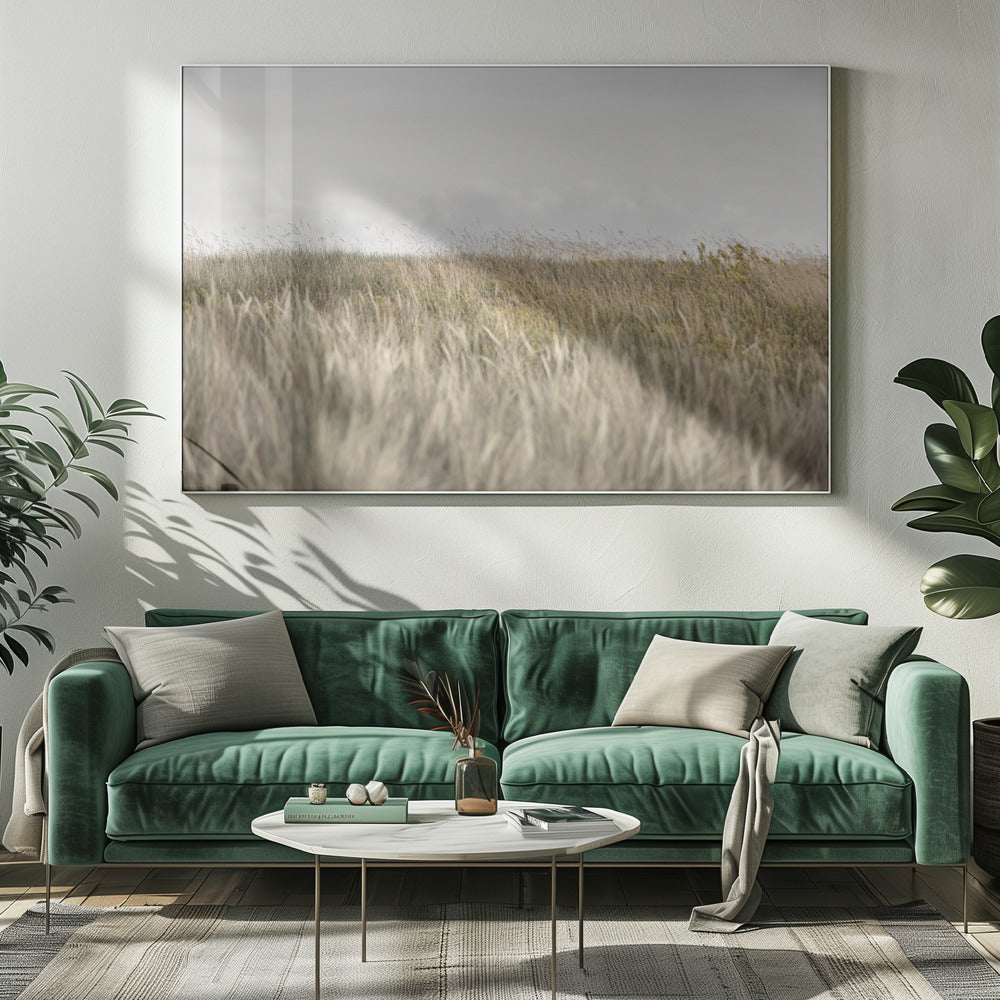 Dunes and Clouds 2 | Canvas