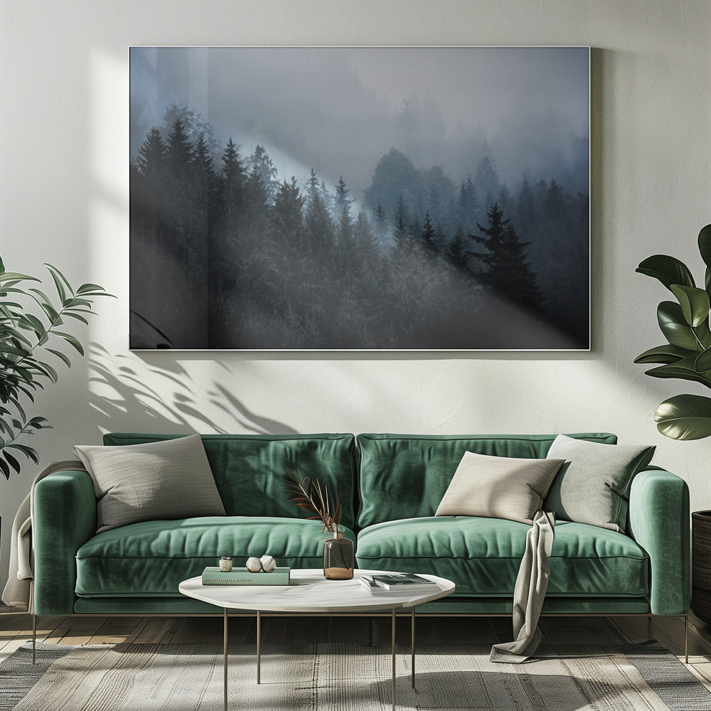 Foggy Woods 5 | Canvas