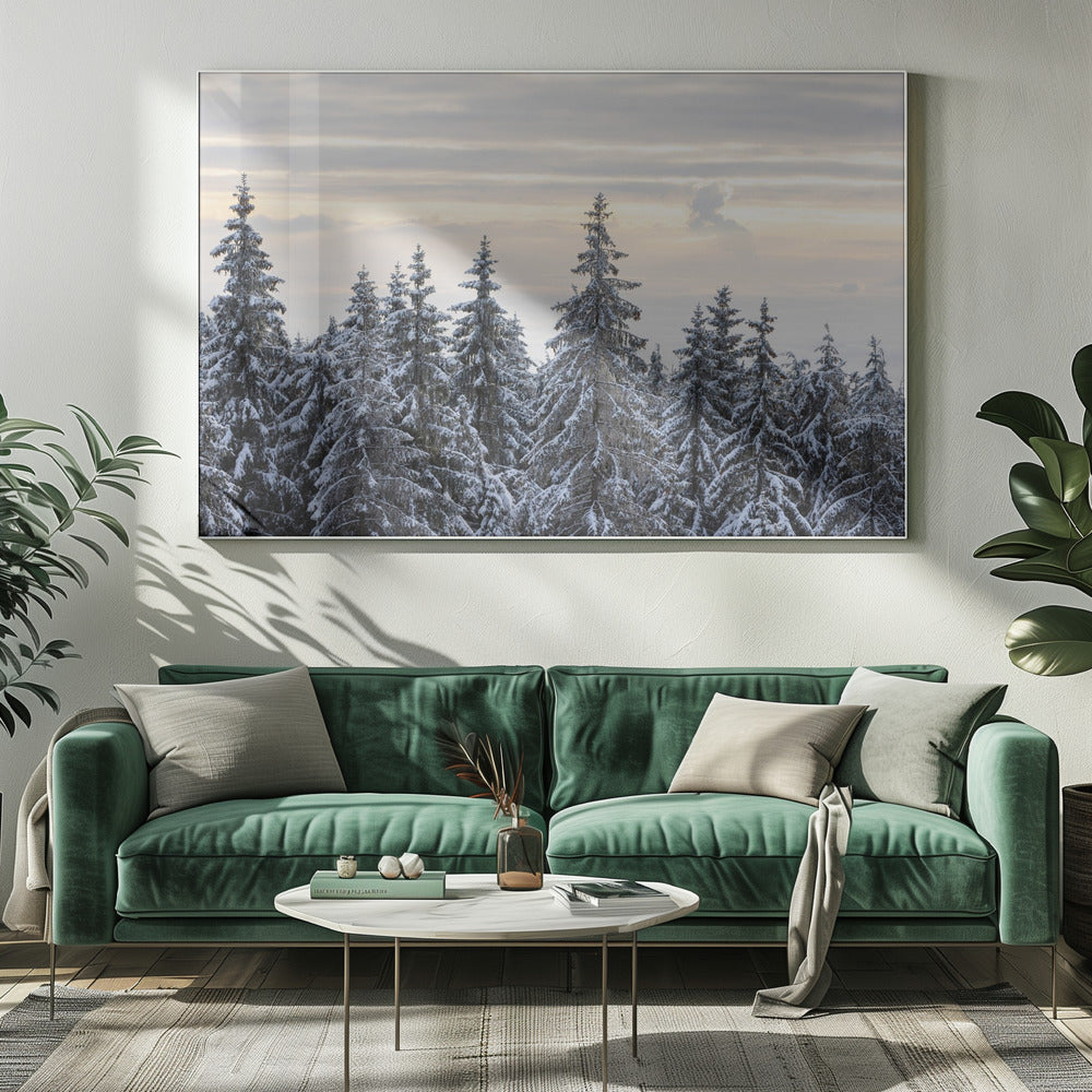 Snow Covered Trees 8 | Canvas