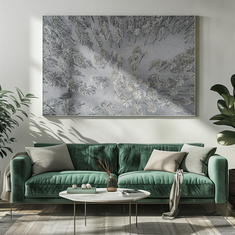 Snow Covered Trees 3 | Canvas