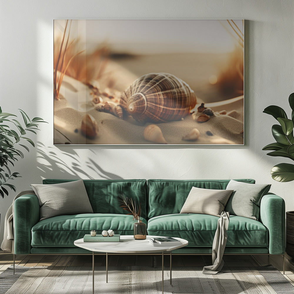 Dunes' Silent Shells | Canvas